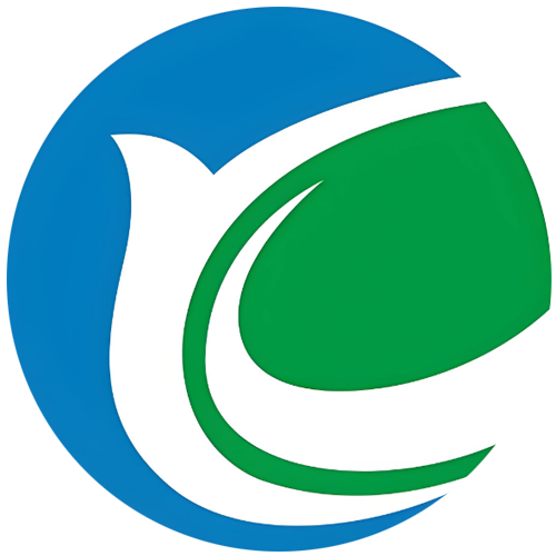 RADIANTVISTA LTD logo